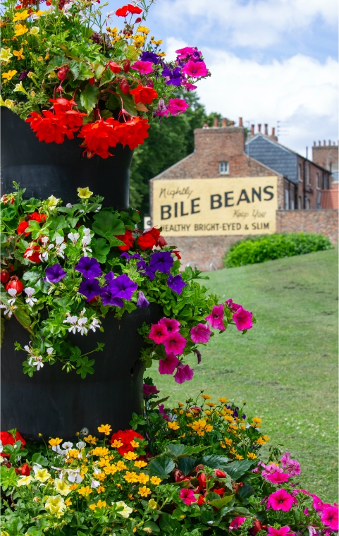 Floral-Displays Floral-Displays