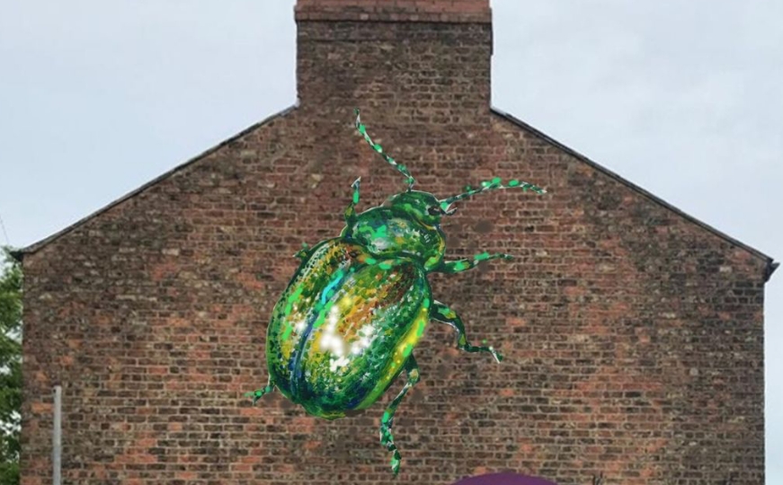 Tansy Beetle Mural