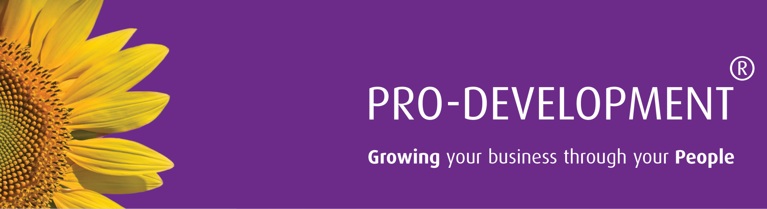 Pro-Development Logo